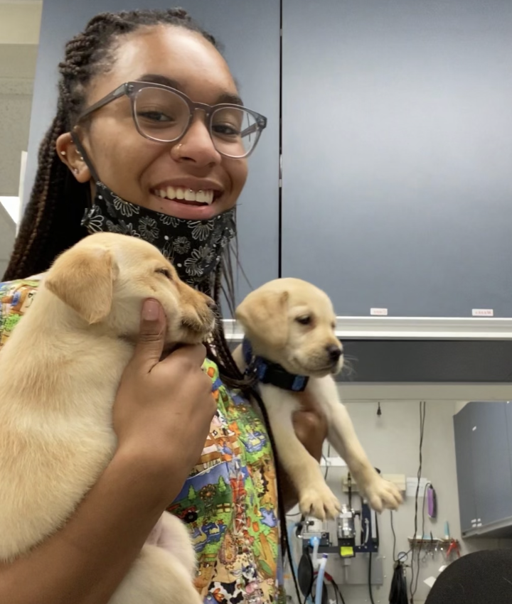 Veterinarians in Lynbrook Lynbrook NY Veterinarians